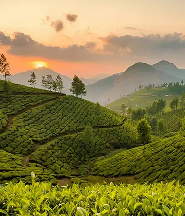 Kerala Wilderness Package